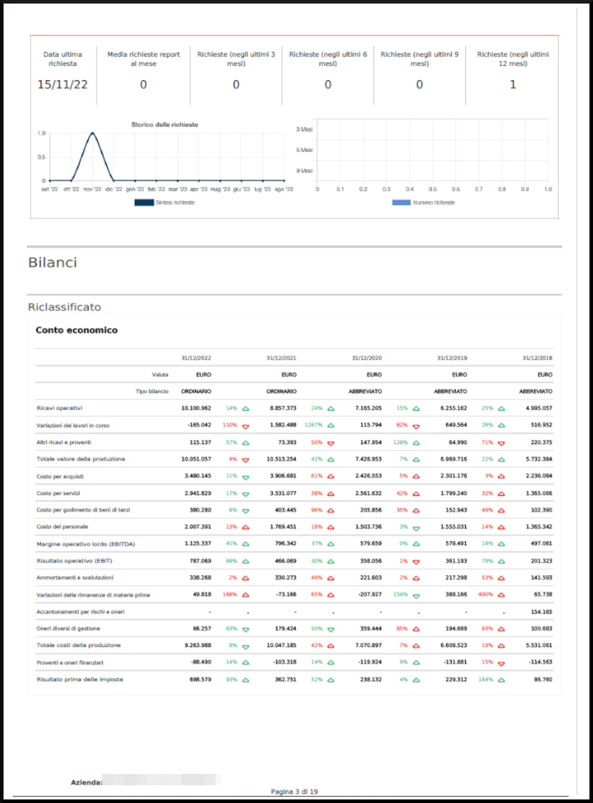 Report impresa Online - Subito