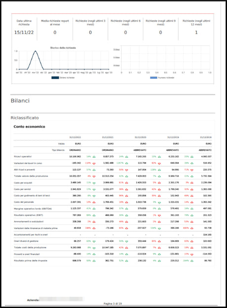 Report impresa Online - Subito